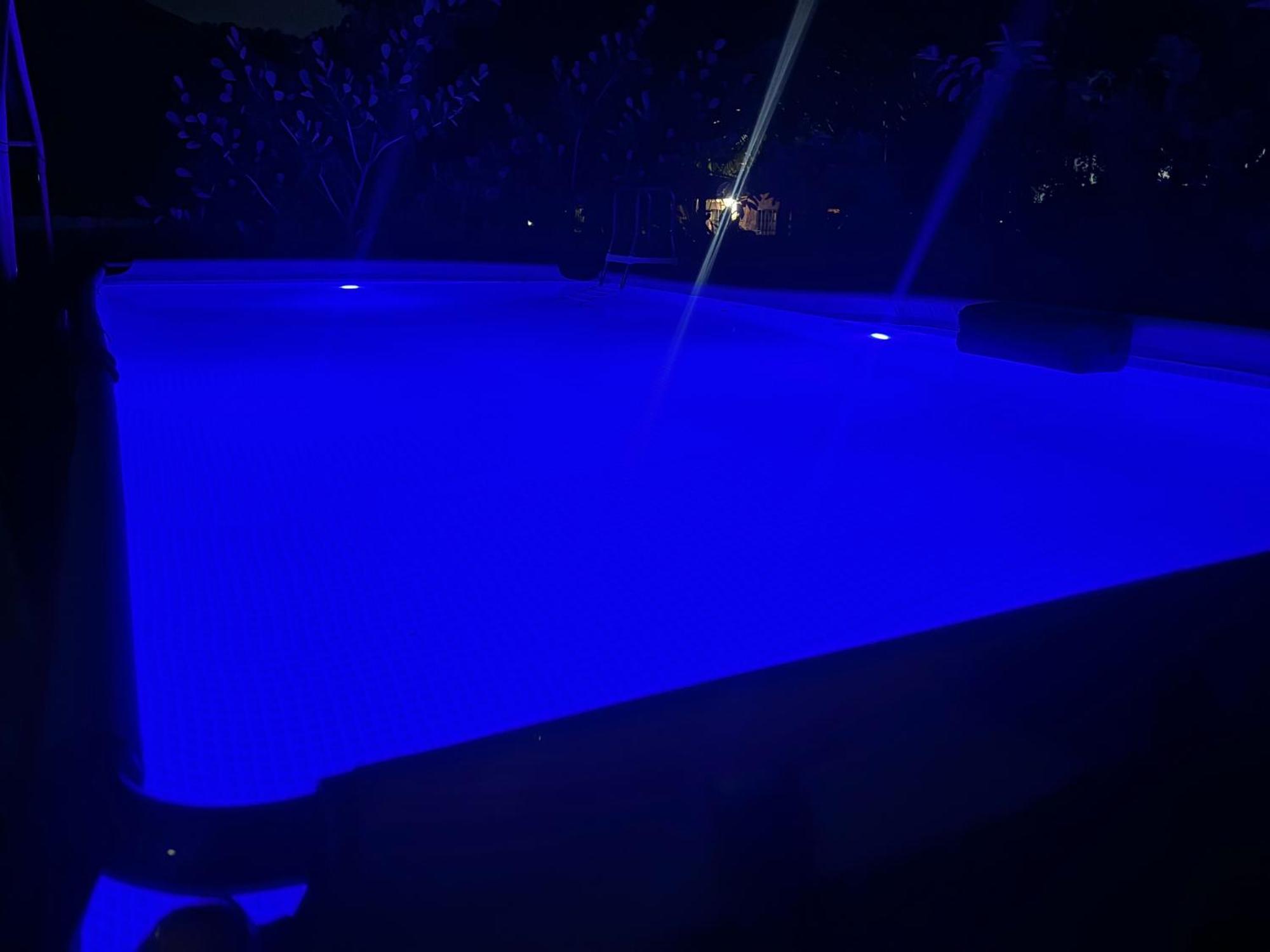 מלון מיאמי ספרינגס Mini House Oasis מראה חיצוני תמונה
